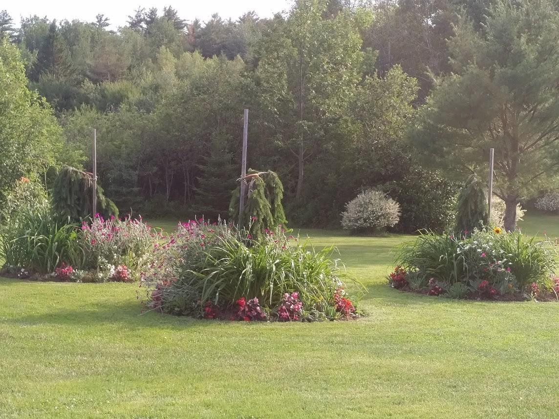 Briarwood Bed&Breakfast Elmsdale Exterior foto